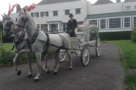 horse and cart funeral procession